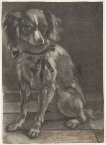 Zittende hond by anonymous, print, 1650-1800