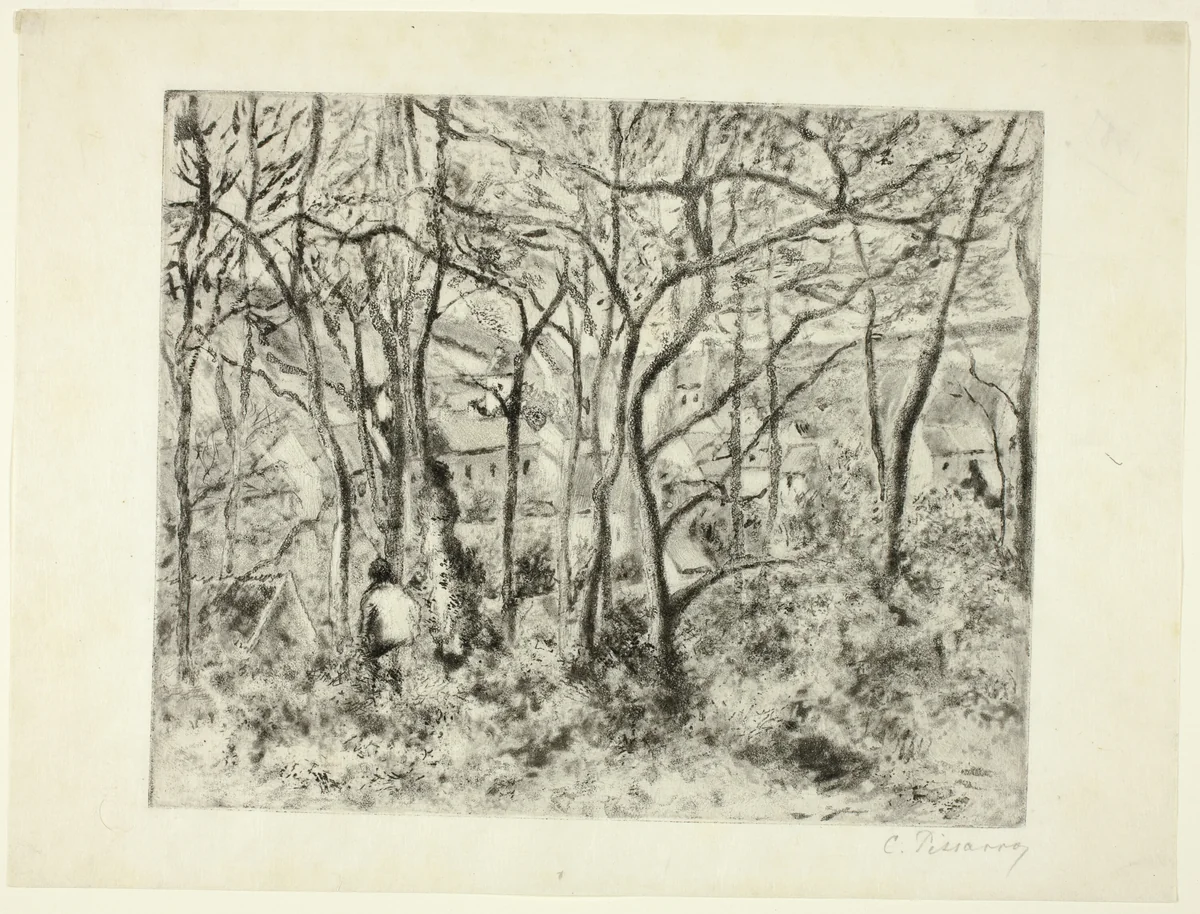 Woodlands at the Hermitage by Camille Pissarro, print, 1879