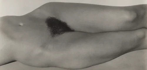 Georgia O'Keeffe—Torso by Alfred Stieglitz, photograph, 1931