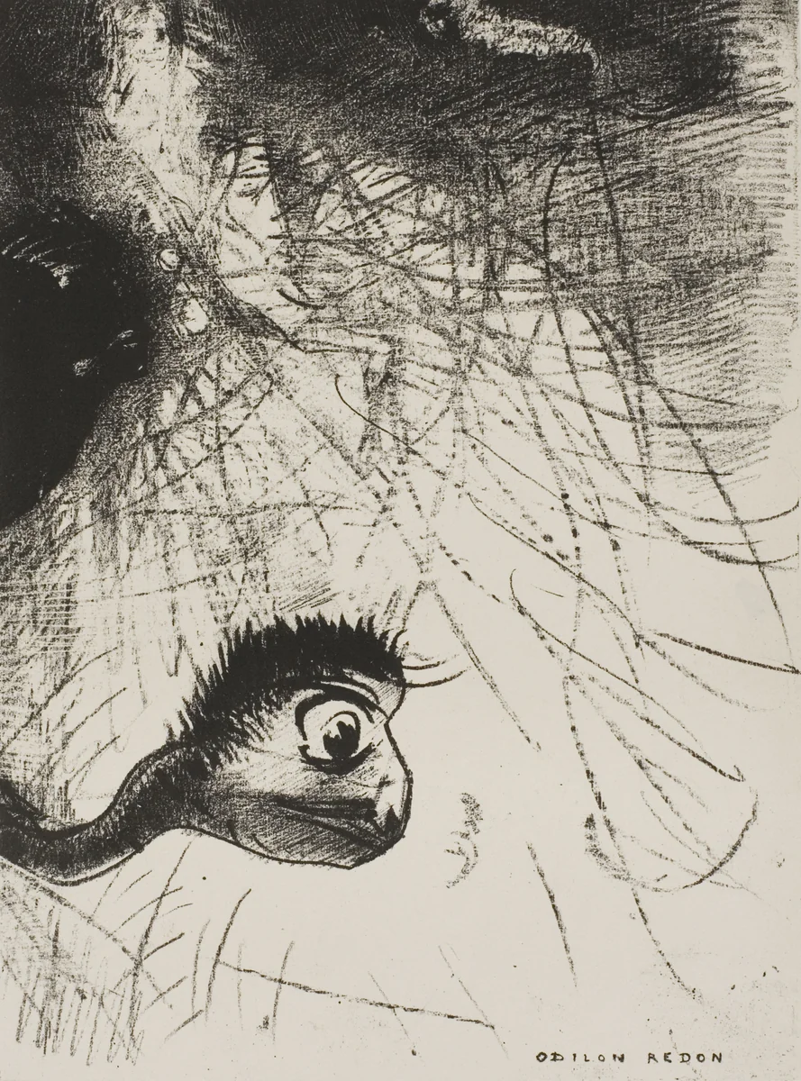 St. Anthony: "Somewhere There Must Be Primordial Shapes Whose Bodies Are Only Images", plate 4 of 6 by Odilon Redon, print, 1889