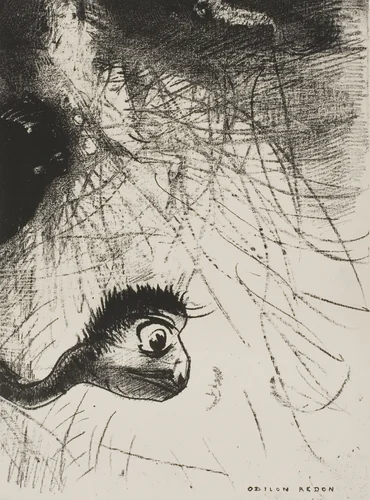 St. Anthony: "Somewhere There Must Be Primordial Shapes Whose Bodies Are Only Images", plate 4 of 6 by Odilon Redon, print, 1889