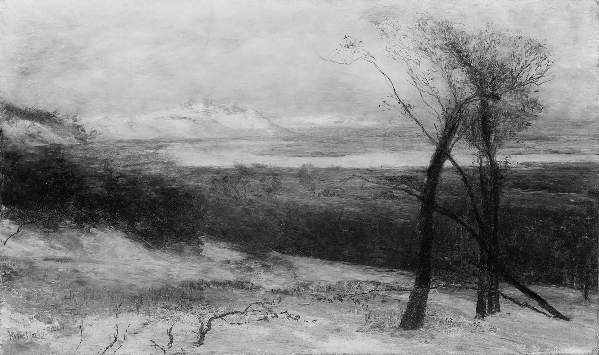 Behind Dunes, Lake Ontario by Homer Dodge Martin, artwork, 1883-1887