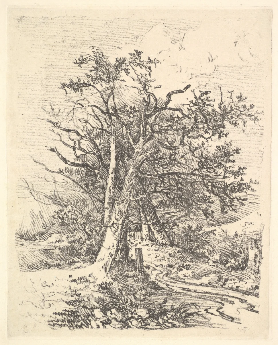Tree Trunks and Lane by John Crome, print, 1811-1812