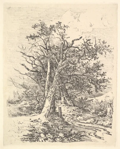 Tree Trunks and Lane by John Crome, print, 1811-1812