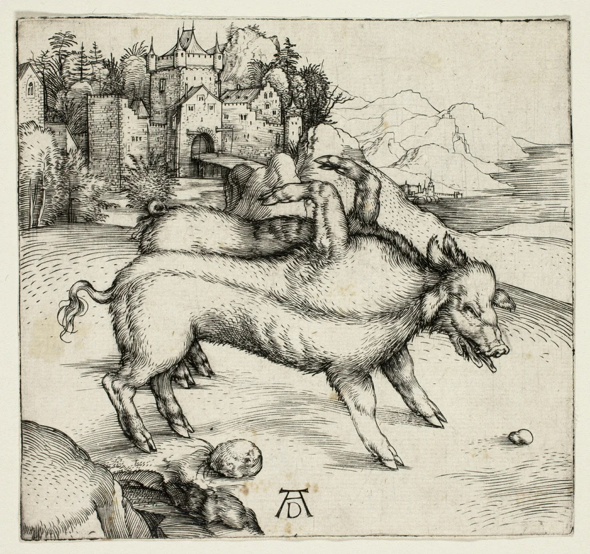 The Monstrous Sow of Landser by Albrecht Dürer, print, 1496