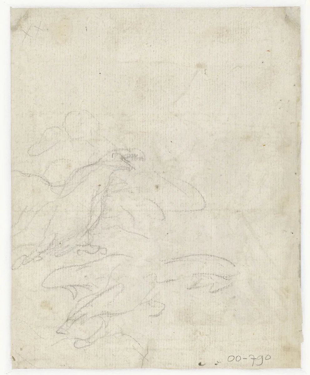 Schets van twee roofvogels by anonymous, drawing, 1600-1699