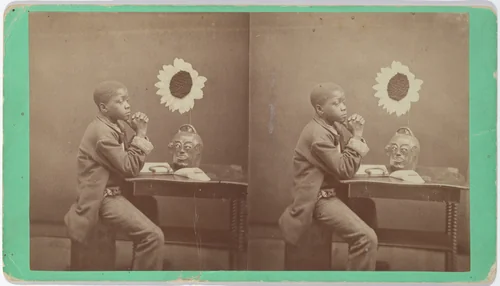 "An Aesthetic Darkey" from the "Aiken and Vicinity" series by James A. Palmer, artwork, 1882