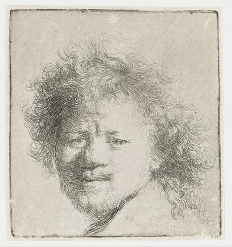 Self-portrait with long bushy hair: head only by Rembrandt van Rijn, print, 1631