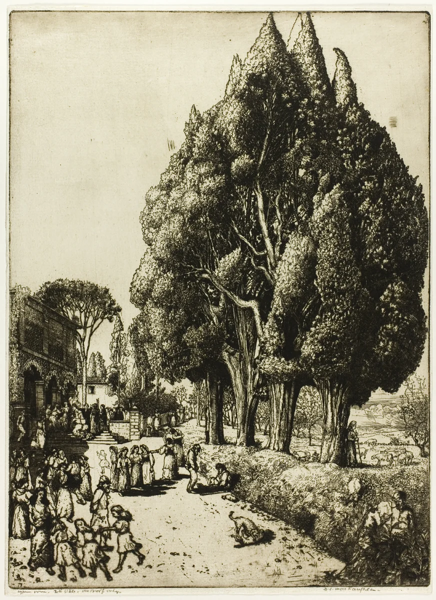 Cypress Grove by Donald Shaw MacLaughlan, print, 1904
