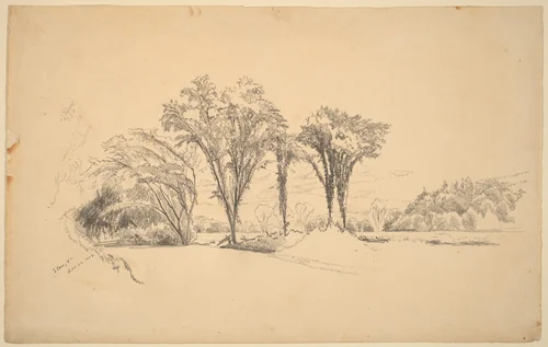 Stowe, Vermont by Aaron Draper Shattuck, drawing, 1858