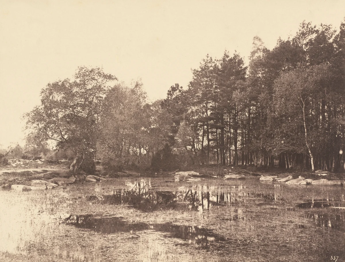 Marsh at Piat (Belle-Croix Plateau) by Eugène Cuvelier, photograph, 1860-1865