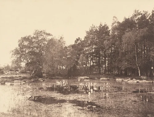 Marsh at Piat (Belle-Croix Plateau) by Eugène Cuvelier, photograph, 1860-1865