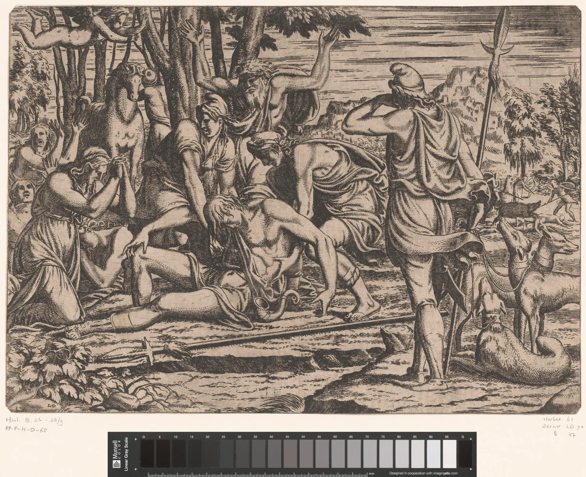 Dood van Adonis by Unknown, print, 1540-1556