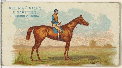 Aurelia, from The World's Racers series (N32) for Allen & Ginter Cigarettes by Allen & Ginter, print, 1888