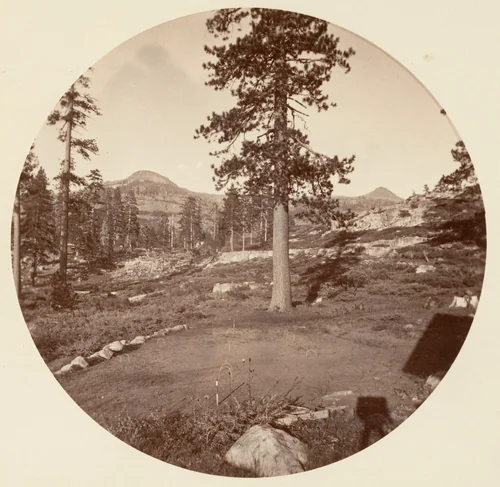 [Yosemite National Park, California] by Carleton E. Watkins, photograph, 1876-1880