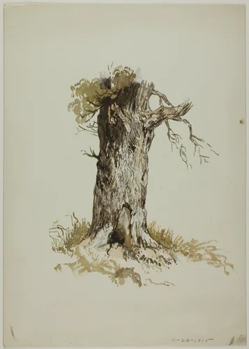 Old Tree Trunk (recto); Old Tree Trunk (verso) by Unknown Artist, painting, 1800-1899