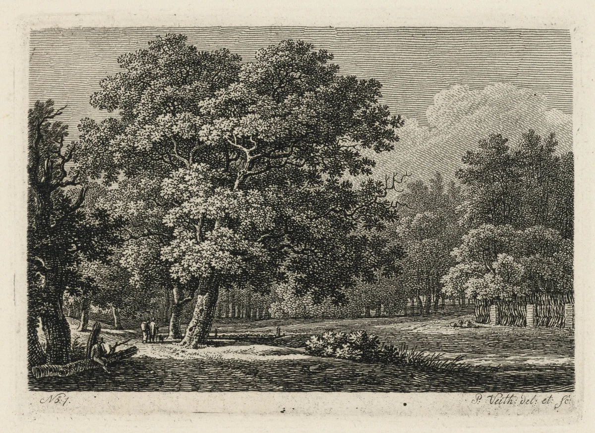 Grove of Trees by the Fish House, near Dresden by Philipp Veith, portfolio, 1824
