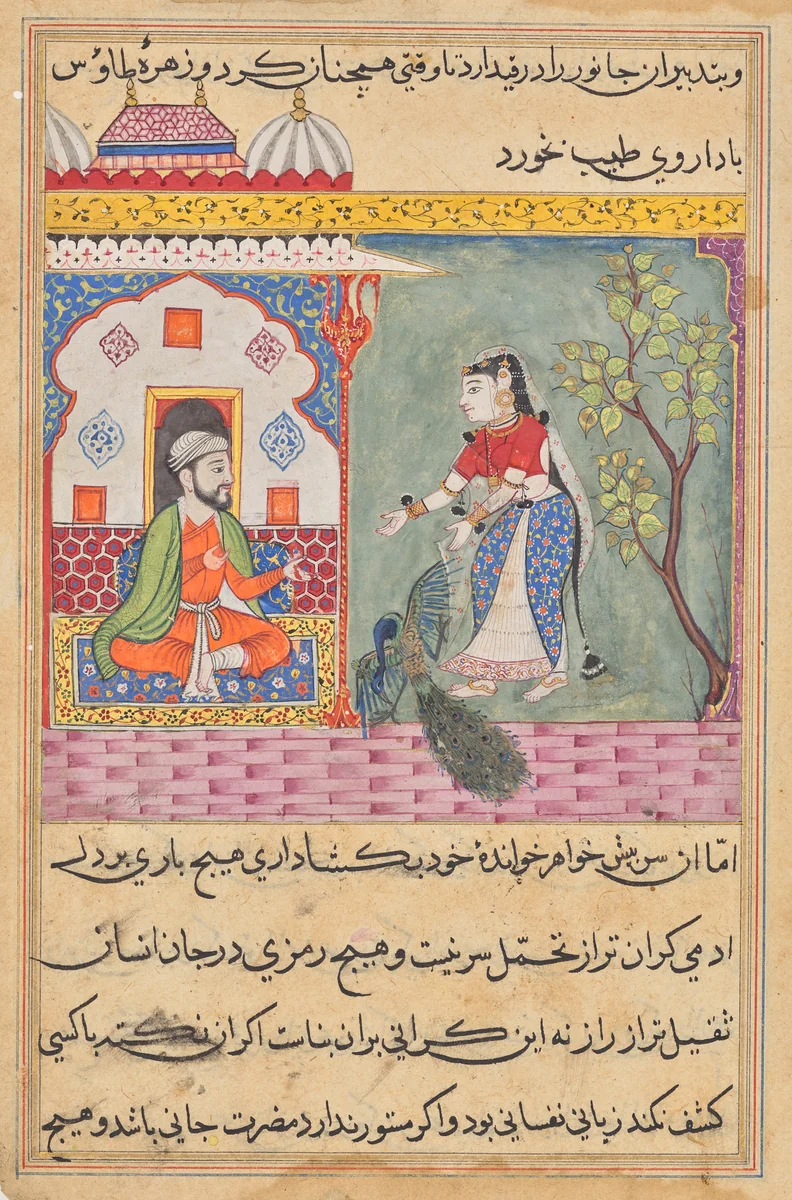 The Brahman’s wife who killed a peacock and ate its gallbladder on the physician’s advice, from a Tuti-nama (Tales of a Parrot): Nineteenth Night by Unknown, painting, 1555-1565