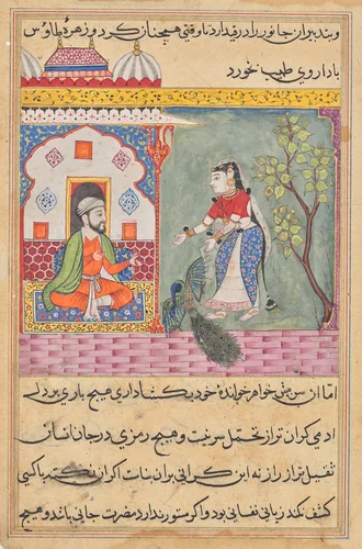 The Brahman’s wife who killed a peacock and ate its gallbladder on the physician’s advice, from a Tuti-nama (Tales of a Parrot): Nineteenth Night by Unknown, painting, 1555-1565