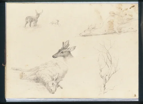 Sketchbook of Landscape and Animal Subjects by Thomas Hewes Hinckley, artwork, 1860-1864