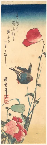 A Bluebird and Poppies by Utagawa Hiroshige (歌川広重), print, 1832-1834
