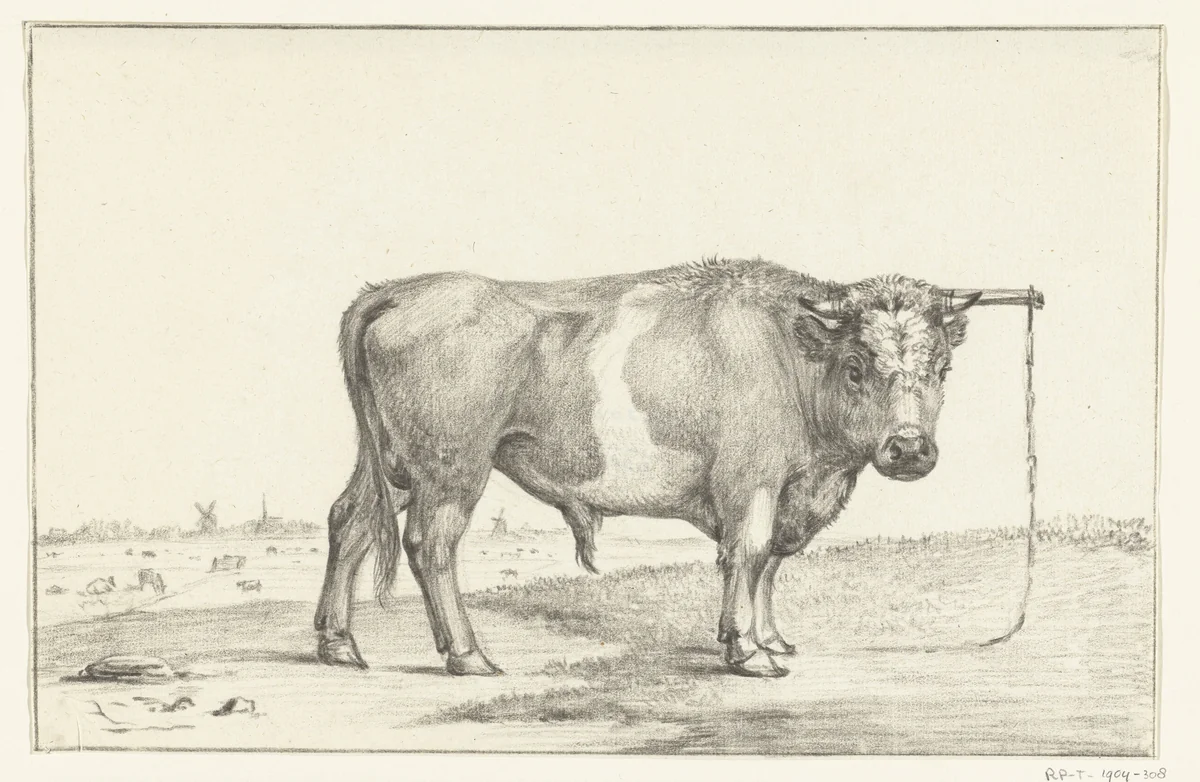 Staande stier, naar rechts by Jean Bernard, drawing, 1775-1833