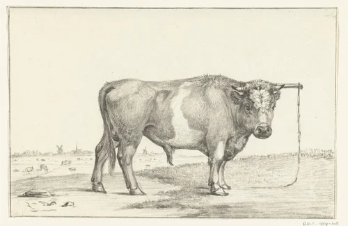 Staande stier, naar rechts by Jean Bernard, drawing, 1775-1833