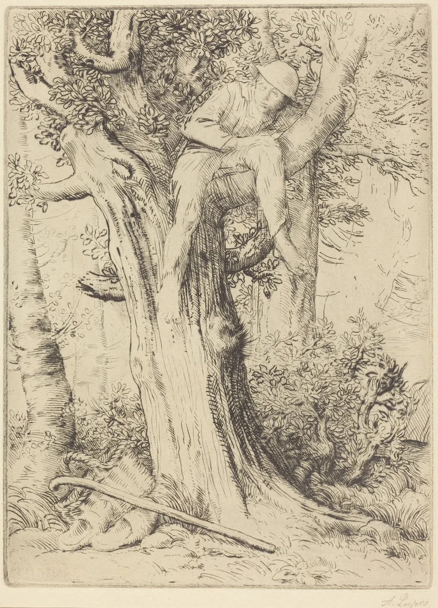 Landscape with a Boy in a Tree (Paysage avec un garcon gimpe sur un arbre dite "Le denicher d'oiseaux) by Alphonse Legros, print, 1837-1911