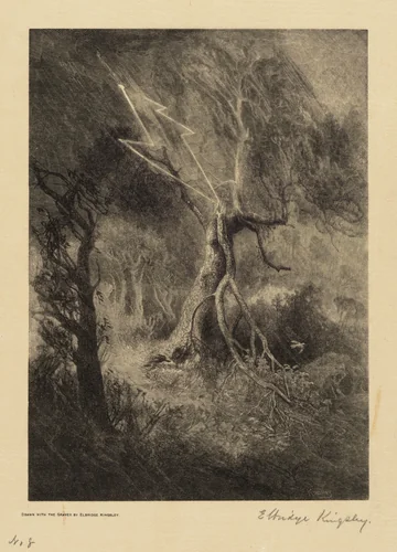 The Tragedy of a Nest by Elbridge Kingsley, print, 1855-1920