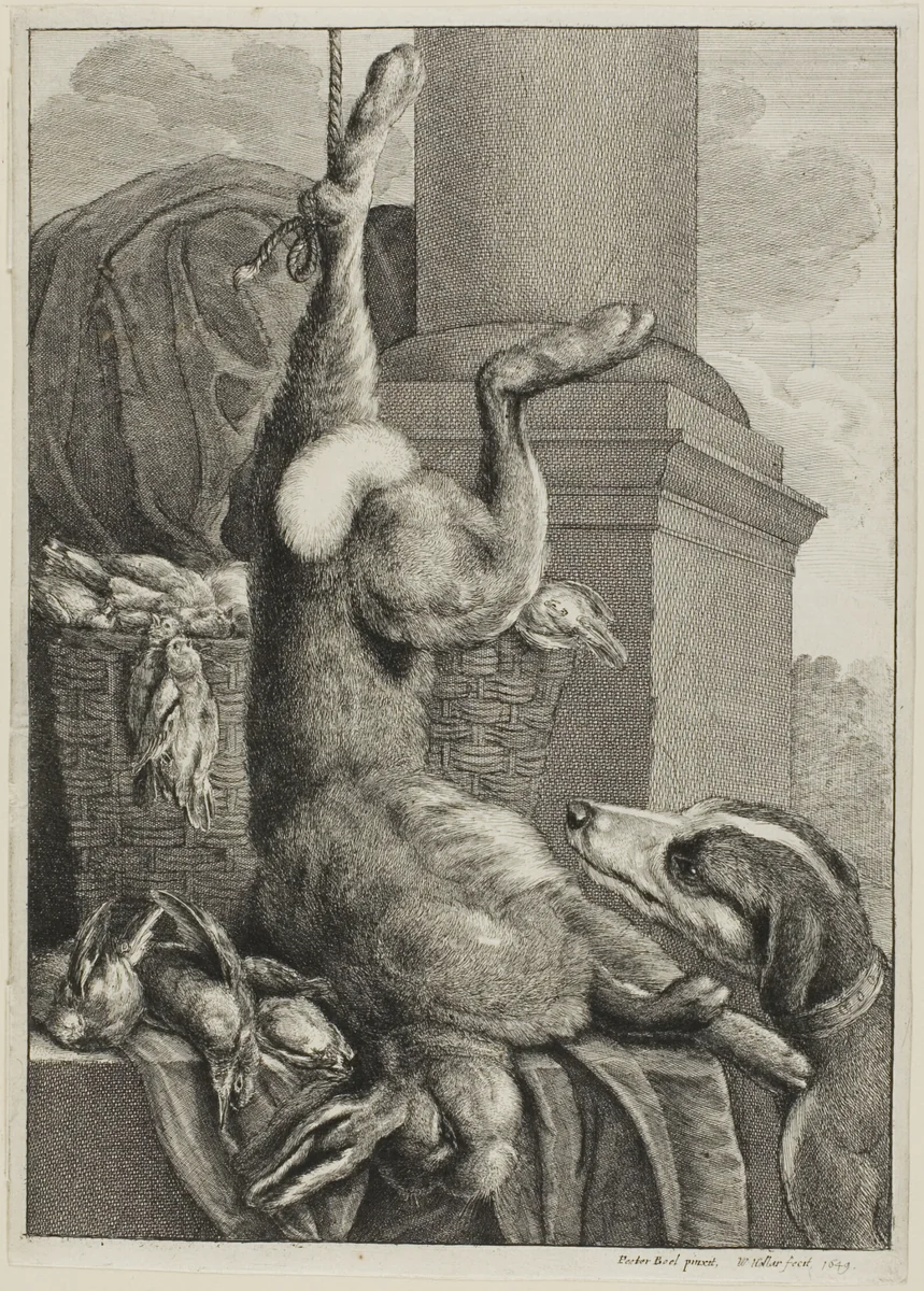 Dead Hare by Wenceslaus Hollar, print, 1649