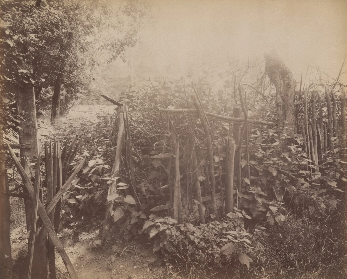 Ville d'avray. Palisade by Eugène Atget, photograph, 1900