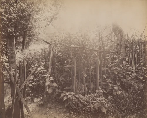 Ville d'avray. Palisade by Eugène Atget, photograph, 1900