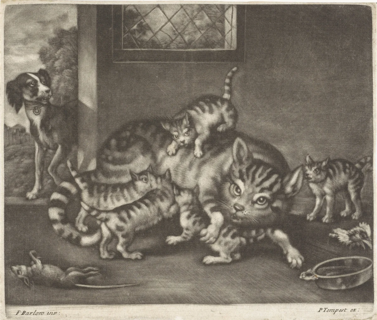 Poes met vijf jongen by Jan Griffier, print, 1667-1717