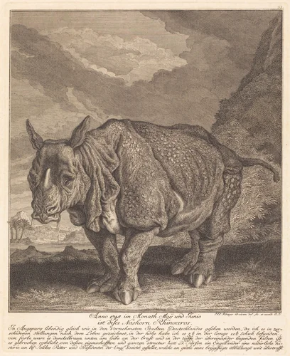 Nashorn Rhinoceros by Johann Elias Ridinger, print, 1745-1755