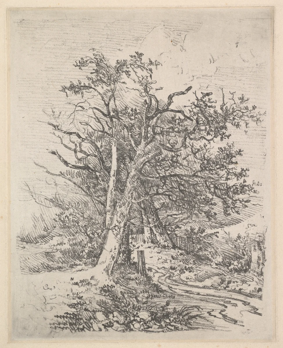 Tree Trunks and Lane by John Crome, print, 1811-1812