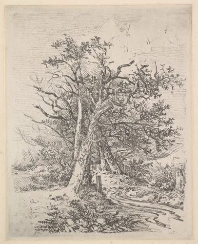 Tree Trunks and Lane by John Crome, print, 1811-1812