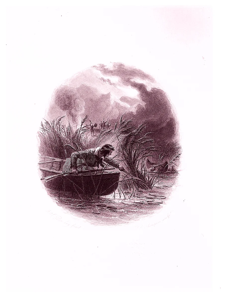 The Cooper Vignettes by James Fenimore Cooper, book, 1862