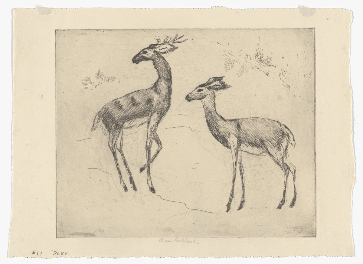 Stag and Doe (No. 1) by Anne Goldthwaite, print, 1928