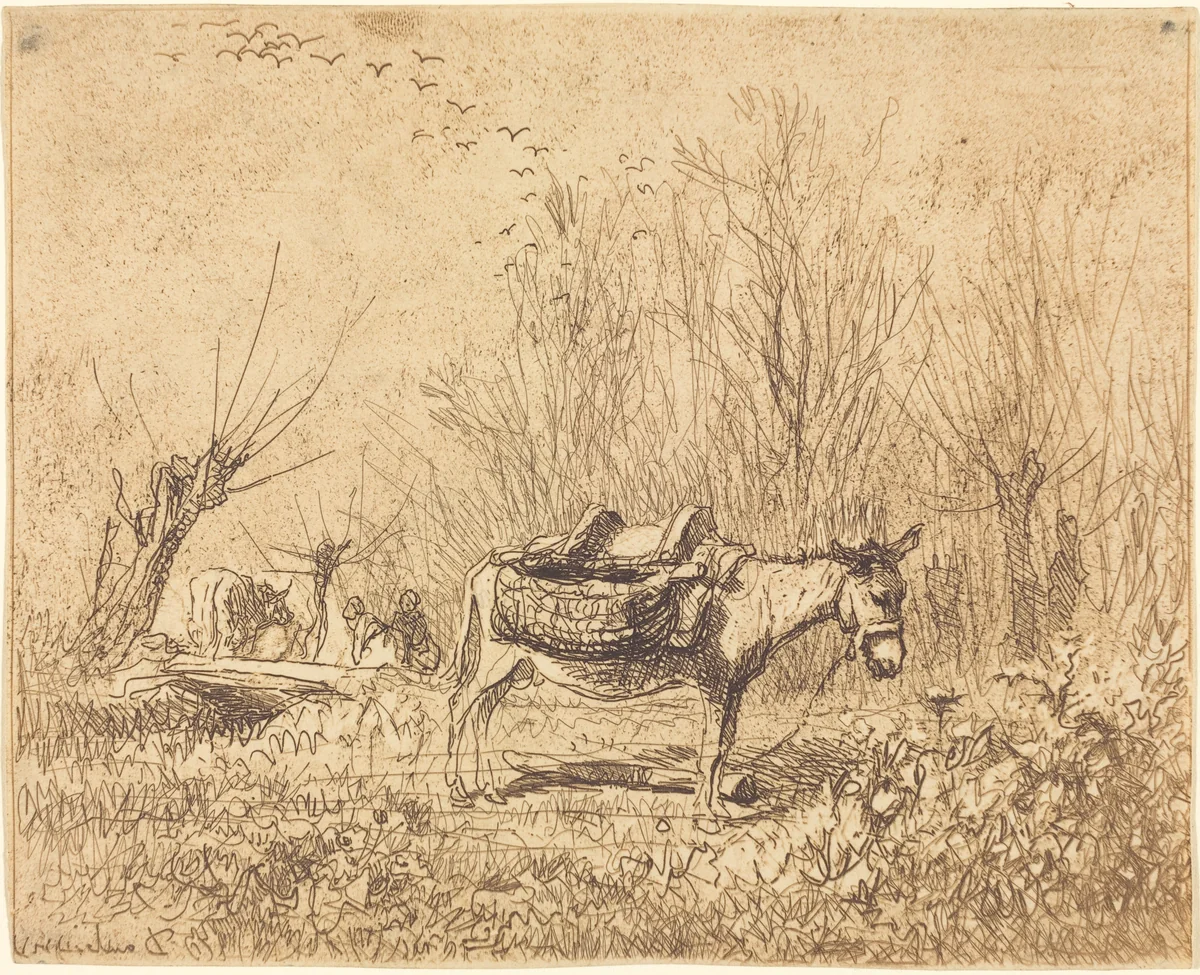 Donkey in a Field (L'Ane au pre) by Charles-François Daubigny, print, 1862