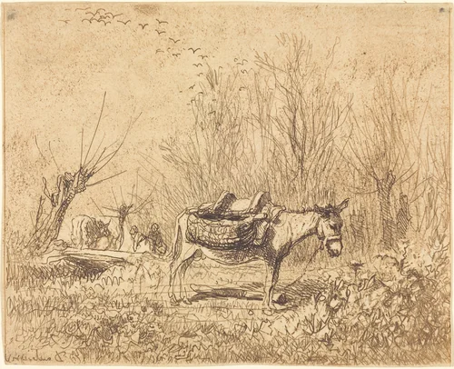 Donkey in a Field (L'Ane au pre) by Charles-François Daubigny, print, 1862
