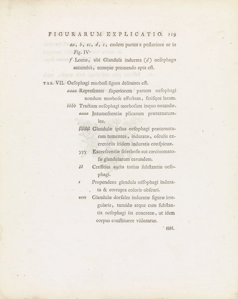 Tekstblad uit: Janus Bleuland, Observationes Anatomico-Medicae de Sana et Morbosa Oesophagi Structura, 1785 by Jan Bleuland, other, 1785