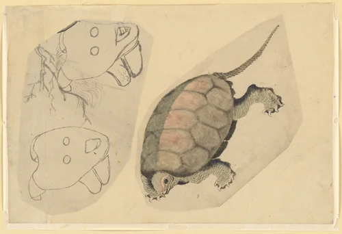 Two Sketches: One of a Turtle, the Other of Two Unidentified Objects by Katsushika Hokusai (葛飾 北斎), painting, 1760-1849