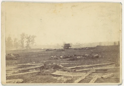 View on the Battlefield of Antietam, September 1862 by Alexander Gardner, photograph, 1862
