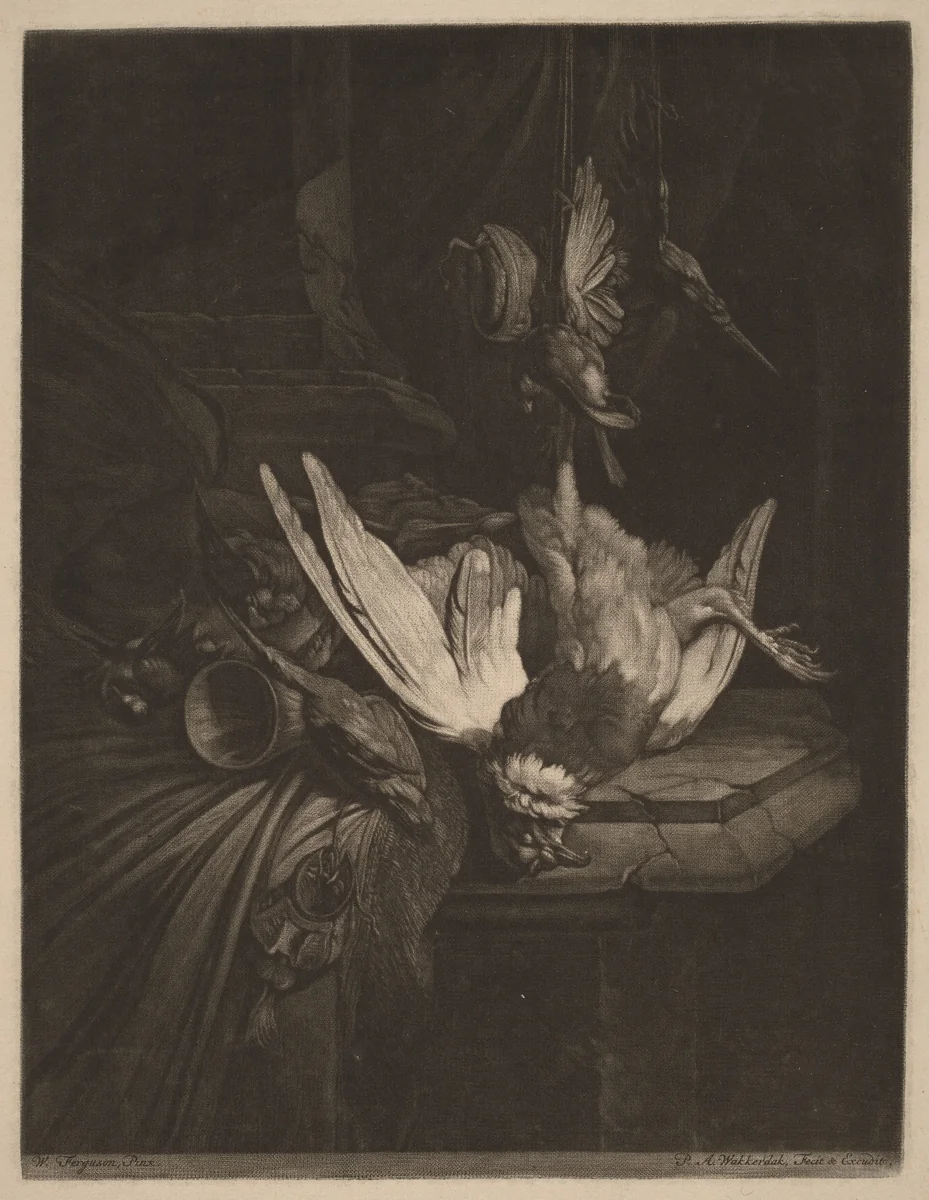 Still Life with Game Birds by Pieter Anthony Wakkerdak
William Gowe Ferguson, print, 1729-1774