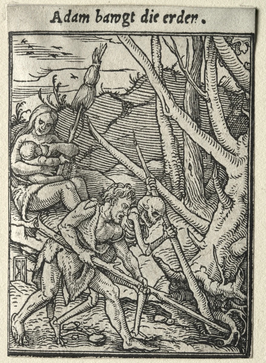 Dance of Death: Adam Tilling the Ground by Hans Holbein the Younger, print, 1521-1531
