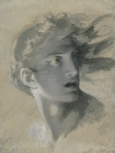Head of Vengeance by Pierre-Paul Prud'hon, drawing, 1799-1809