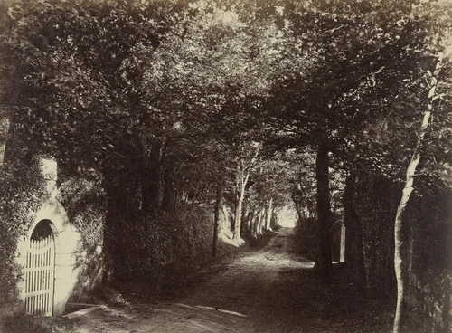 Untitled by Henry White, photograph, 1870