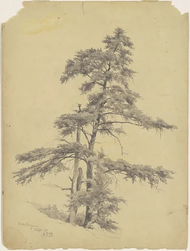 Trees, West Virginia by Andrew Fisher Bunner, drawing, 1867