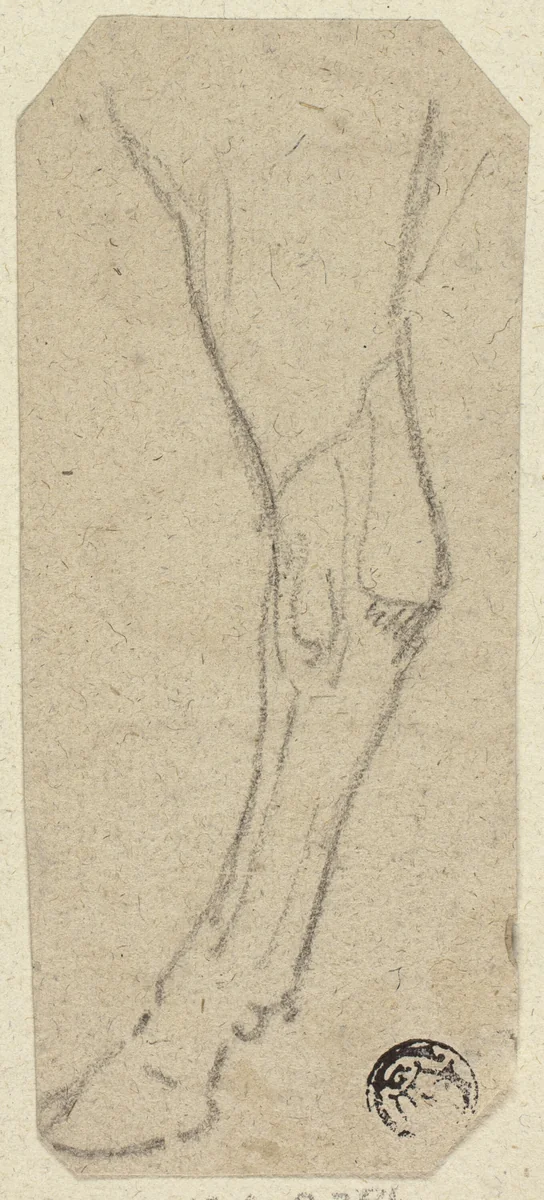 Cow's Leg by Unknown Artist, drawing, 1800-1899