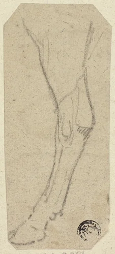 Cow's Leg by Unknown Artist, drawing, 1800-1899